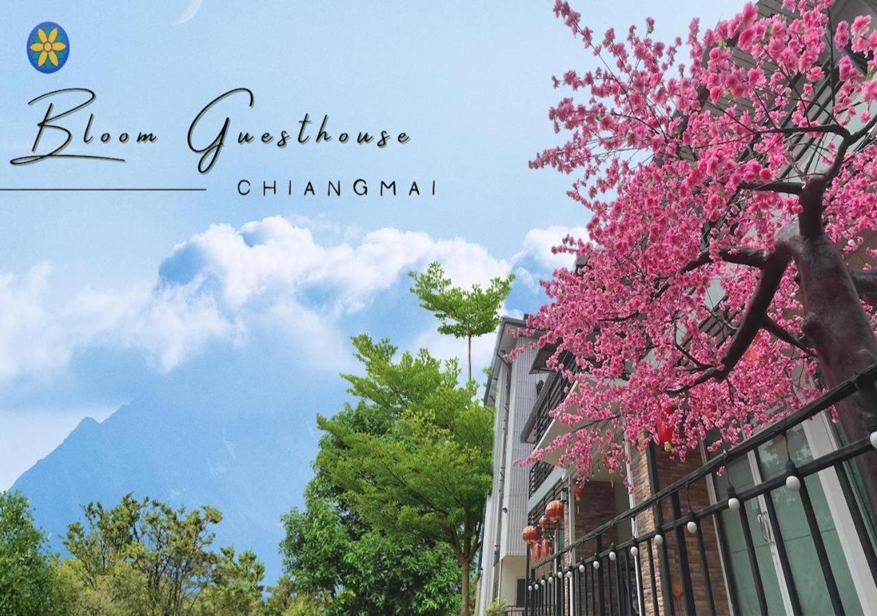 Bloom Guesthouse Chiang Mai Luaran gambar